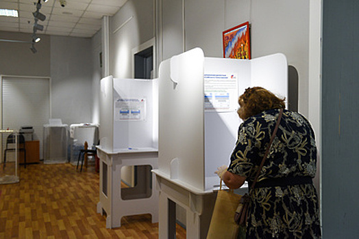Ни одного случая удаления наблюдателей с избирательных участков не зафиксировали в Москве