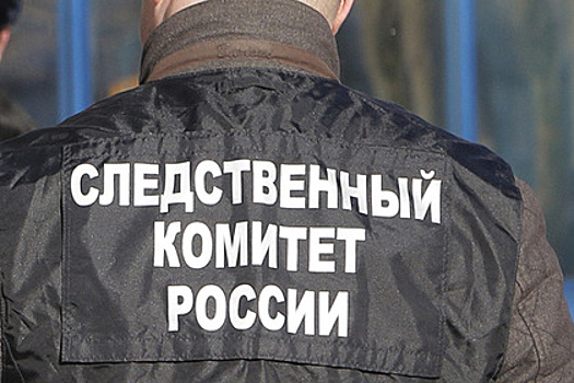 Стали известны подробности об убитой под Воронежем женщине с детьми