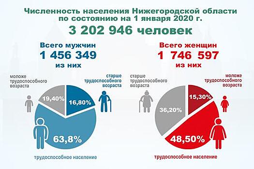 Нижегородская область находится в демографической яме