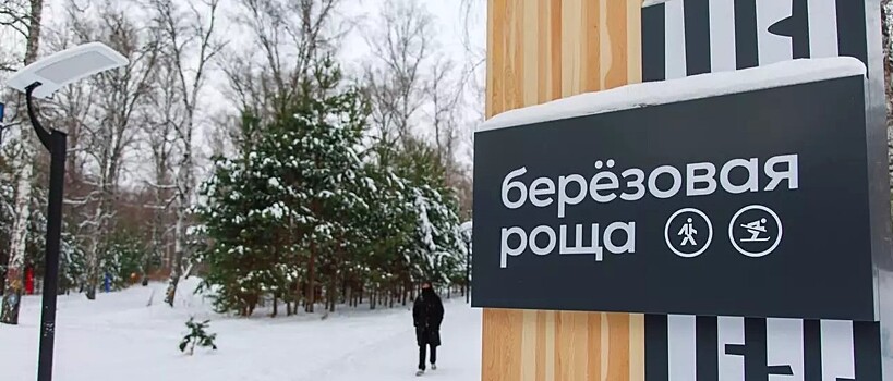 Экопарк «Берёзовая роща» открыли в Красноярске