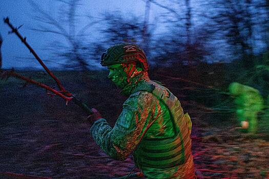 Армия России заняла Веселое