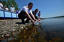 "Норникель" выпустил первых мальков осетра в Енисей в рамках соглашения с Росрыболовством