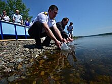 "Норникель" выпустил первых мальков осетра в Енисей в рамках соглашения с Росрыболовством