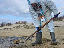 Курянки помогают очистить пляжи Анапы от мазута