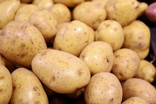 Россиян успокоили по поводу дефицита картофеля
