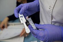 Большинство ВИЧ-инфицированных в Приморье - работоспособное население