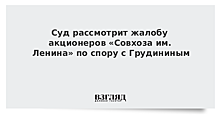 Суд рассмотрит жалобу акционеров «Совхоза им. Ленина» по спору с Грудининым