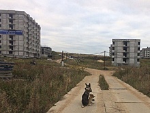 Глеб Никитин предложил Сбербанку достроить ЖК «Новинки Smart City»
