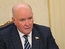 Сенатор Карасин назвал «болтовней» призыв Киева к одностороннему прекращению огня