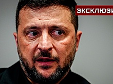 Царев: Миндич - кошелек Зеленского, поэтому обыски ударили по обоим