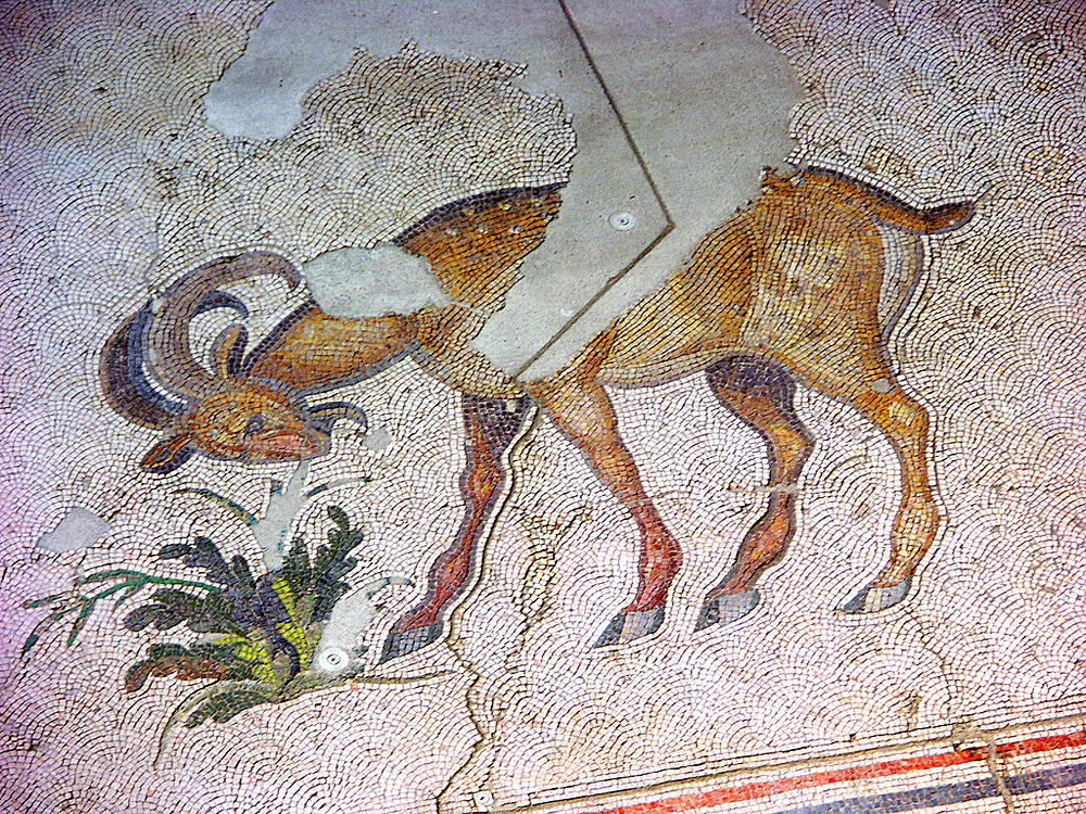 Музей мозаик Большого дворца, Стамбул, Турция