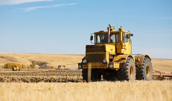 В Волгоградской области выявили нарушение при обращении семян нута