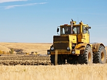 В Волгоградской области выявили нарушение при обращении семян нута