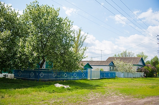 В Волгоградской области мужчина палкой забил енота за задушенных цыплят