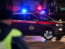 Росгвардия задержала дебоширку около подмосковного торгового центра