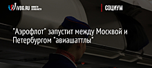 "Аэрофлот" запустит между Москвой и Петербургом "авиашаттлы"