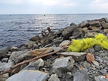 Отдохнувшая под Анапой россиянка пожаловалась на антисанитарию и «грязь везде»