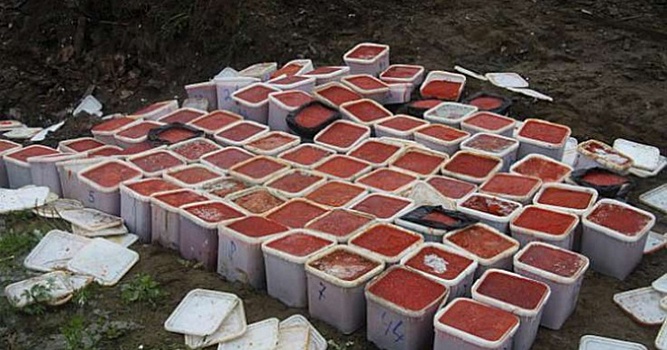 Пограничники Магадана изъяли у браконьеров более 3 тонн красной икры