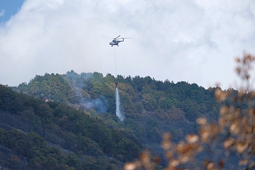 В Геленджике локализовали крупный пожар в горах
