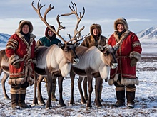 В Минсельхозе РФ пообещали дополнительные меры господдержки оленеводам Севера