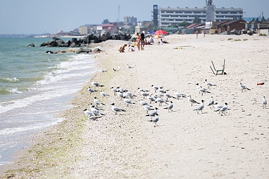 Вильфанд предупредил о жаре и ливнях на юге европейской части РФ