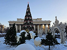 В Новосибирске с 13 января начнёт работу приём новогодних ёлок на переработку