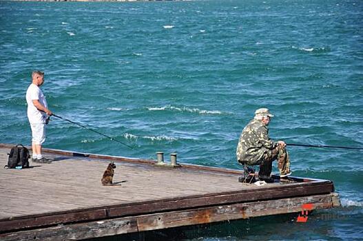 В России рыбакам разрешат продавать свой улов