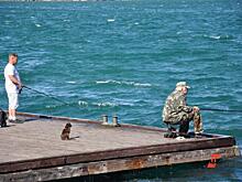 В России рыбакам разрешат продавать свой улов