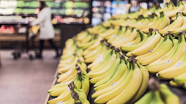Делегация Эквадора посетит Москву для обсуждения проблемы с поставкой бананов