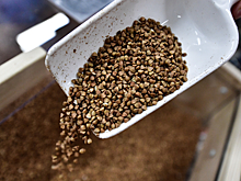 Экономист увидел риск подорожания в России гречки и масла