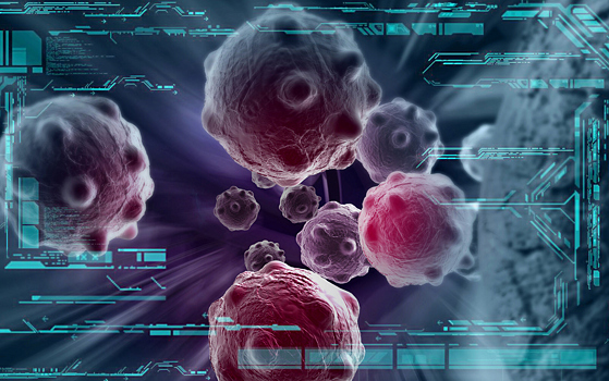 Ученые отследили деятельность заражющего раковые клетки вируса