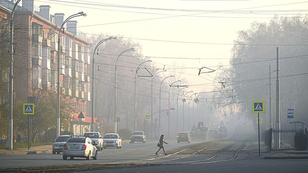 В России уменьшились выбросы в атмосферу от предприятий и транспорта
