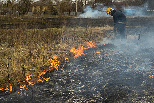 Более 150 пожаров произошло в лесах Подмосковья с начала года