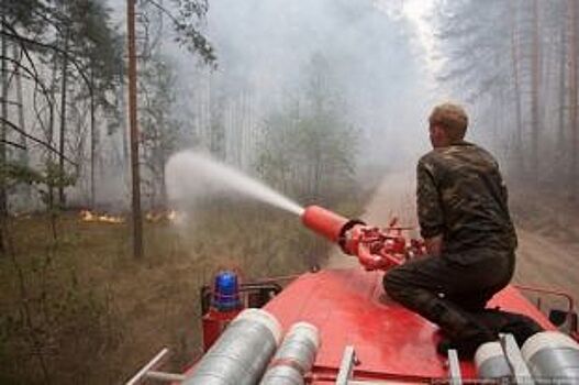 Красноярский край лидирует в России по площади лесных пожаров
