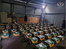 Пресечена контрабанда кокаина в Россию на более чем 20 млрд руб