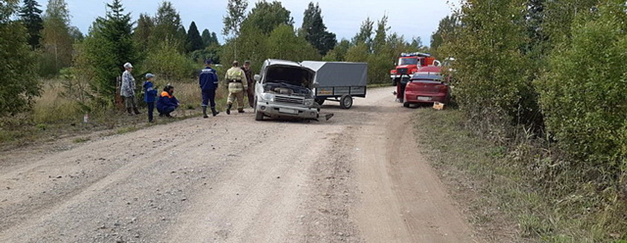 В Вологодской области в ДТП пострадали двое взрослых и ребенок