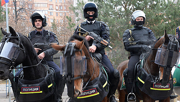 Московская полиция закупает орловских скакунов