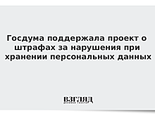 Госдума поддержала проект о штрафах за нарушения при хранении персональных данных
