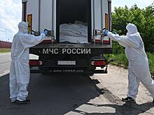 Украина подтвердила факт возвращения тел 1212 погибших военнослужащих