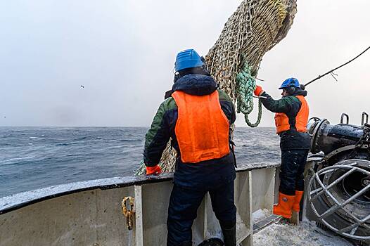 Глава Росрыболовства: ЕС захотел вбить клин между Россией и Норвегией