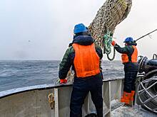 Глава Росрыболовства: ЕС захотел вбить клин между Россией и Норвегией