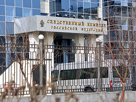 СК: Экс-владелец Черкизовского рынка Т.Исмаилов стал обвиняемым по делу об убийстве двух бизнесменов
