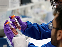 Врач оценил способность COVID встраиваться в геном