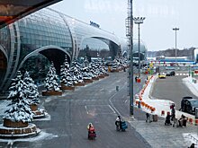 Дерипаска раскритиковал стоимость аэропорта «Домодедово» на торгах