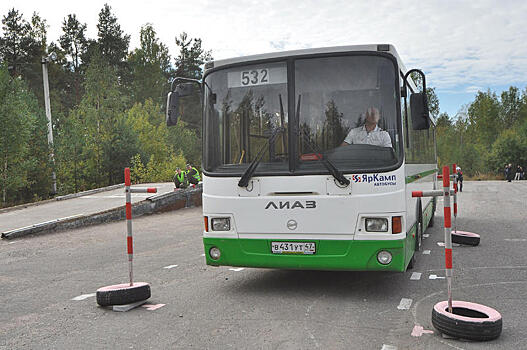 Закон о предельном возрасте автобусов для детей вступает в силу в Ленобласти и Петербурге