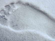 На Ямале обнаружили следы снежного человека