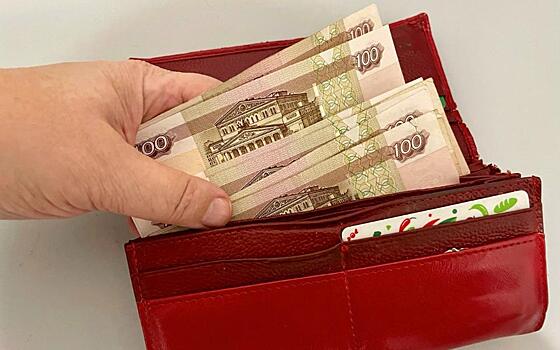 В Рязанской области закрыли две микрокредитные организации