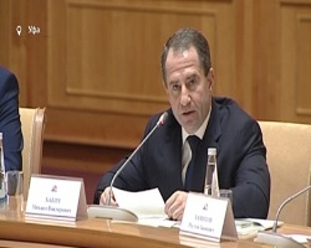 Михаил Бабич призвал обеспечить легитимность президентских выборов в ПФО