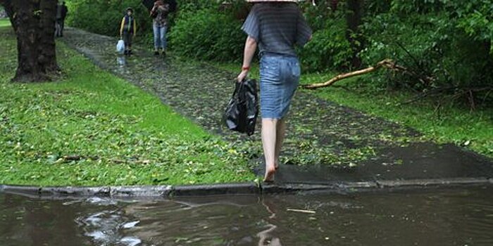 В ТиНАО из-за дождя затопило мост