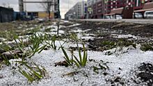В нескольких российских регионах выпал снег